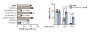 図3　SLC46A3輸送活性と乳がん細胞に対するT-DM1の殺細胞効果に対する各種医薬品の影響.jpg
